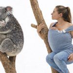 Campaña gráfica concepto creativo para Melic